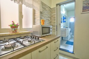 Fridge, microwave, stovetop