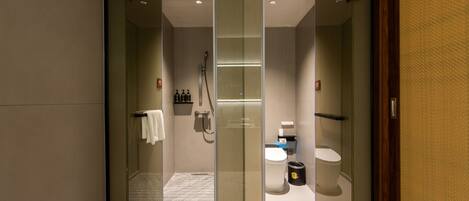 A modern bathroom with a glass shower enclosure, a toilet, and a sink.