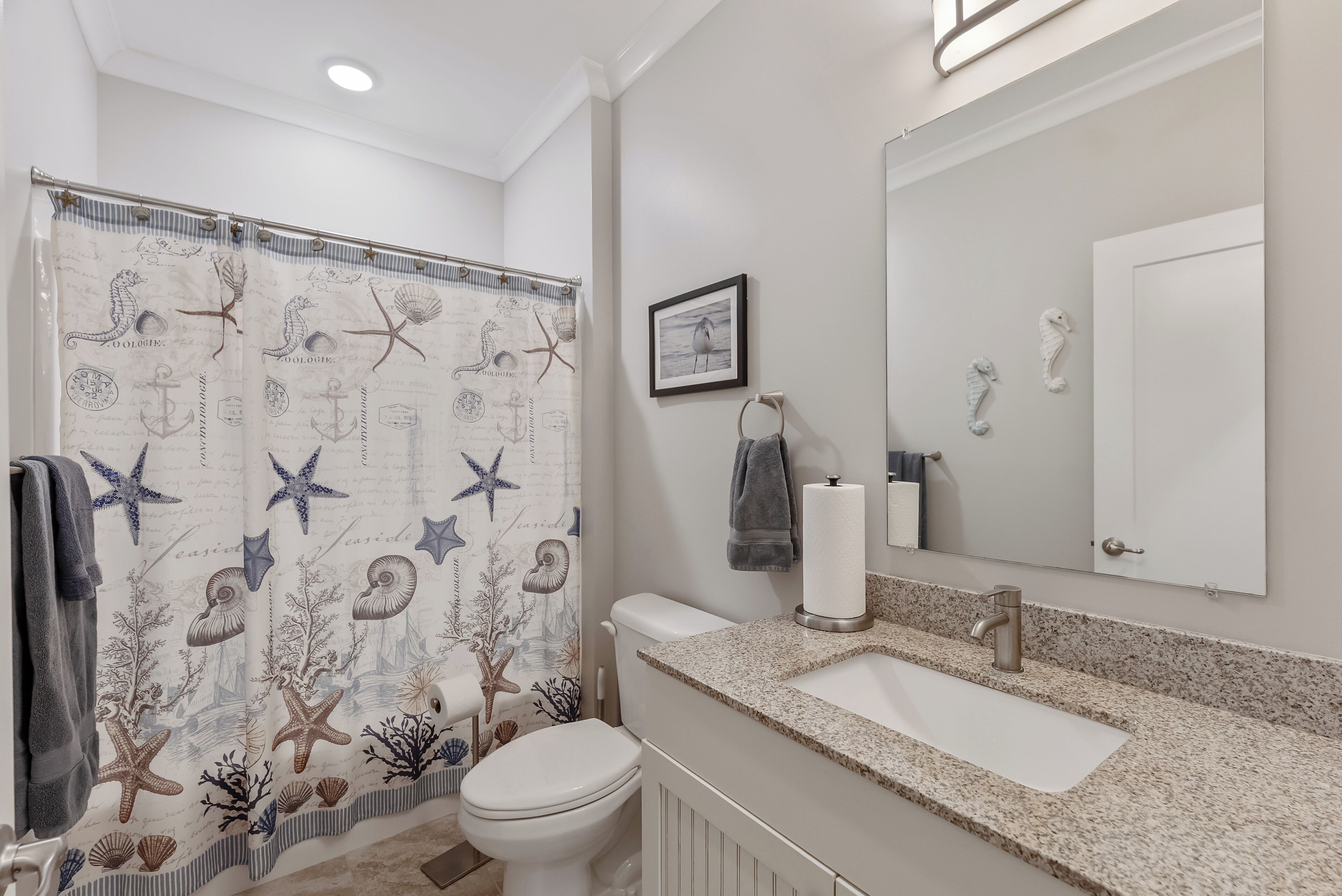 A bathroom with a seashore-themed shower curtain, a white sink, and a mirror.