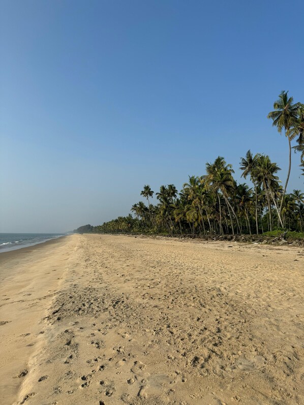 Beach - Ocean Whisper Luxury Beach Villa with sea view from every room (Kaipamangalam)