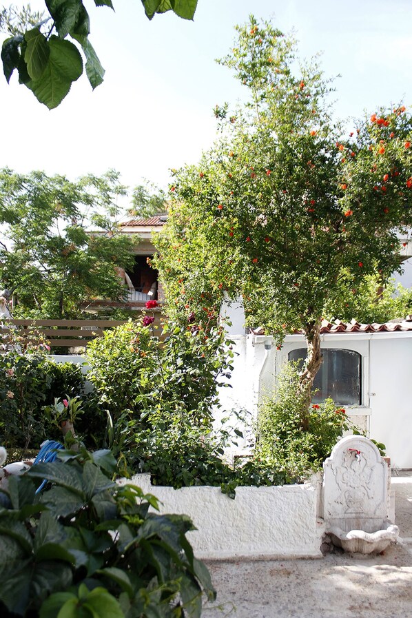 Overnattingsstedets uteområder