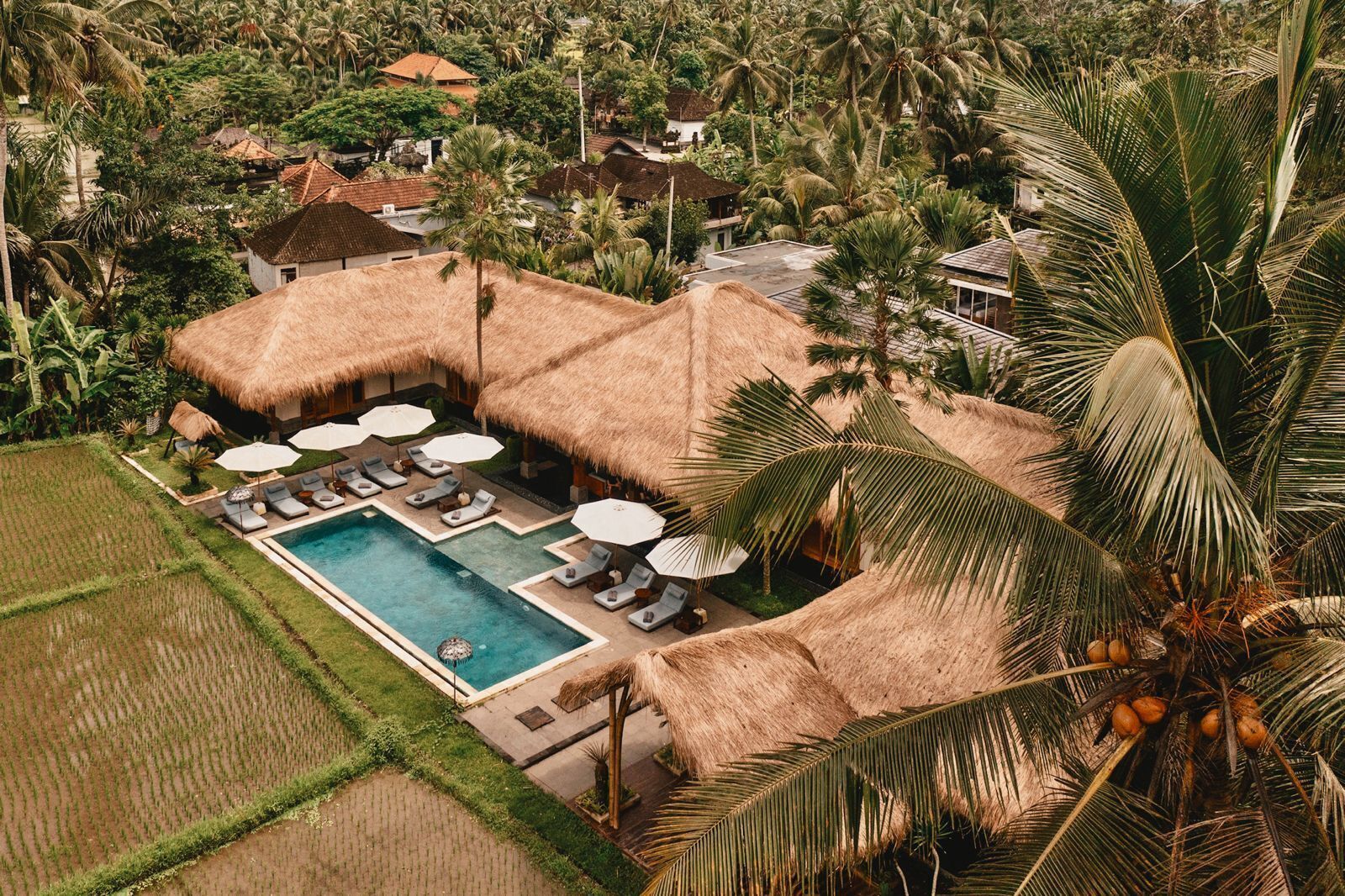Vista aerea di un resort con piscina circondata da lettini e ombrelloni, sullo sfondo palme e edifici con tetti di paglia.