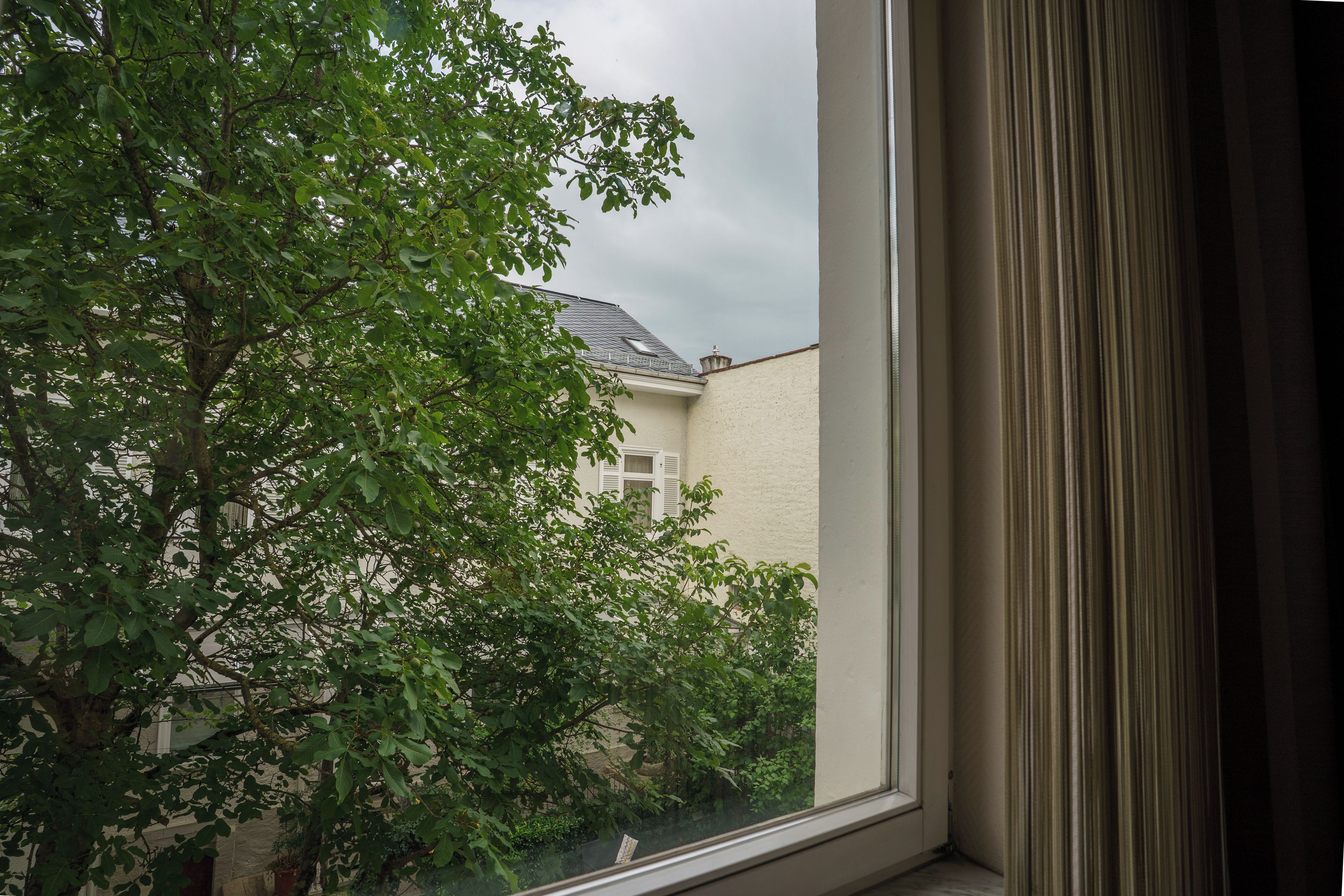 Una ventana con vista a un árbol y un edificio.