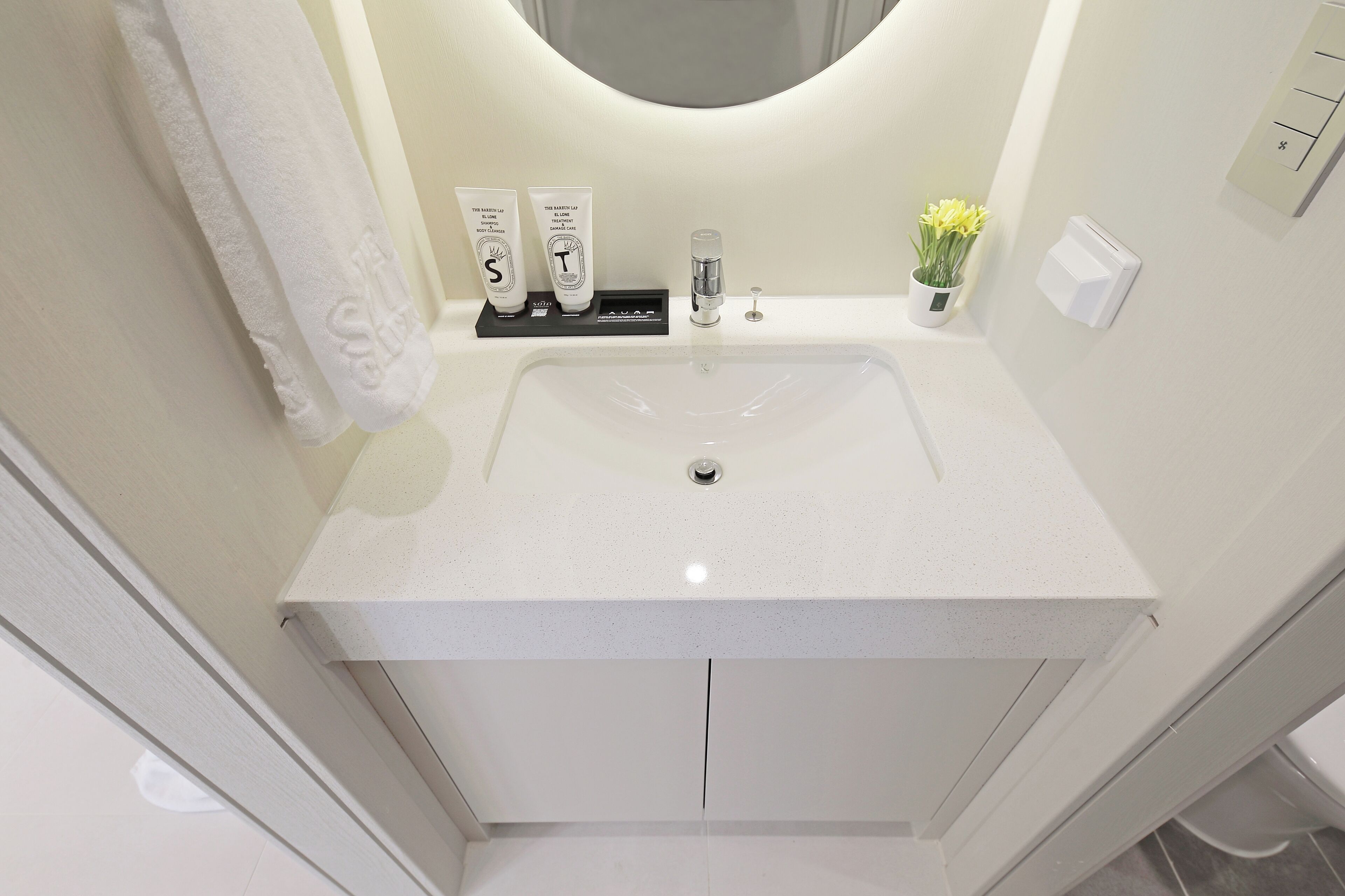 A bathroom with a white sink, two toiletries, a small potted plant, and a towel hanging on the wall.