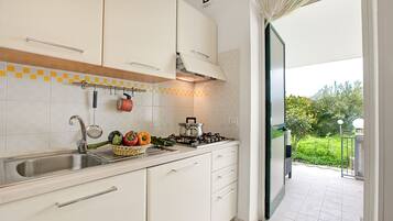 Fridge, oven, stovetop, cookware/dishes/utensils