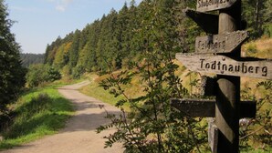 Un cartel de madera con flechas indicando las direcciones a 'Stubenwasen', 'Feldberg' y 'Todtnauberg'.