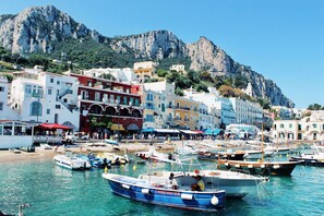 A coastal town with colorful buildings, a marina with boats, and a mountainous backdrop.