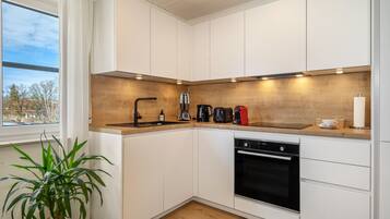 Fridge, oven, stovetop, dishwasher