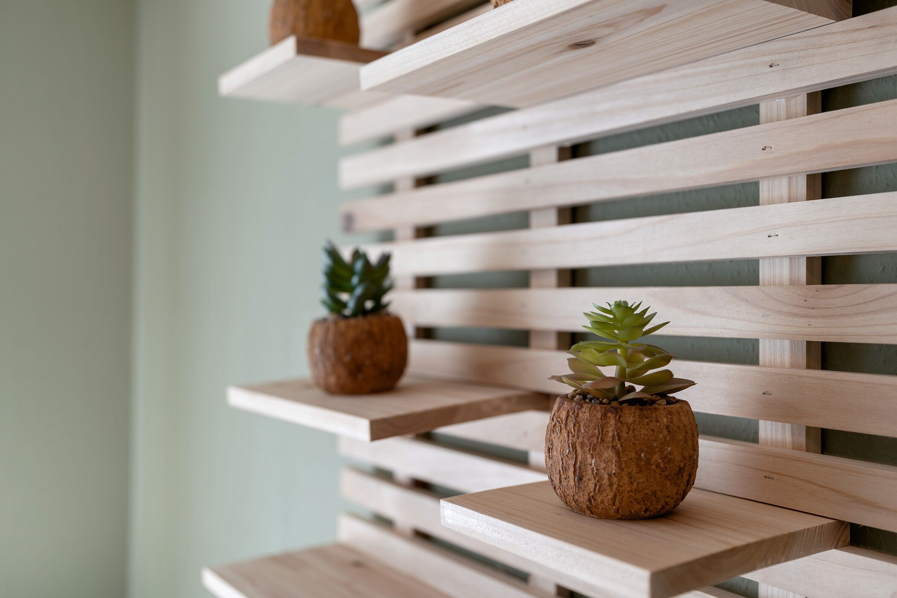 Un mur fait de lattes de bois, agrémenté de deux plantes en pot.
