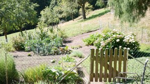 A garden with various plants and a wooden chair.