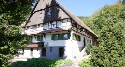 Apartment 'Börsighof' with Shared Garden and Wi-Fi