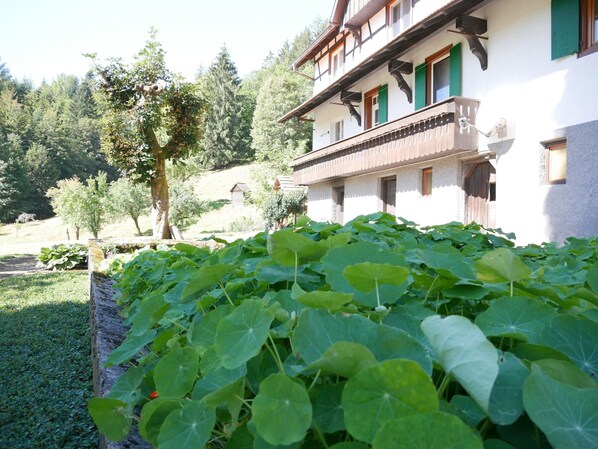 Un edificio tradicional con balcón, rodeado de abundante vegetación y árboles.