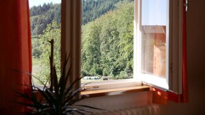 A window with a view of a forested hillside.