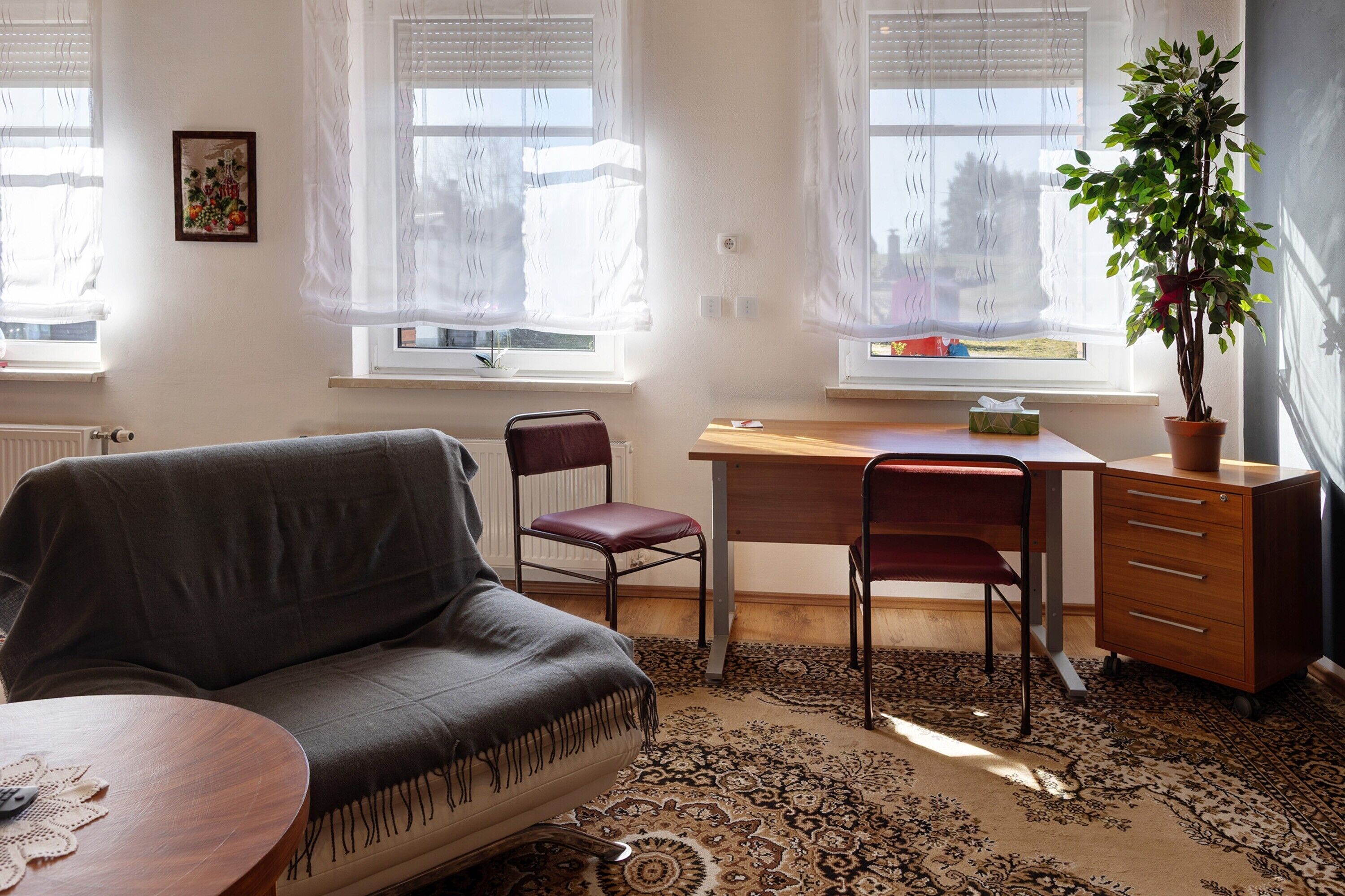 Un salon comprenant un canapé, deux fauteuils, une table en bois, un bureau, un radiateur et une plante en pot.