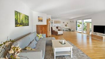 Fernseher