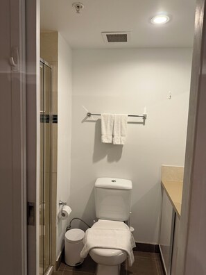 Secador de cabelo, toalhas de banho, shampoo, papel higiênico