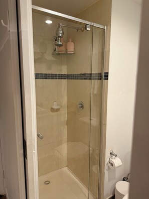 Hair dryer, towels, shampoo, toilet paper