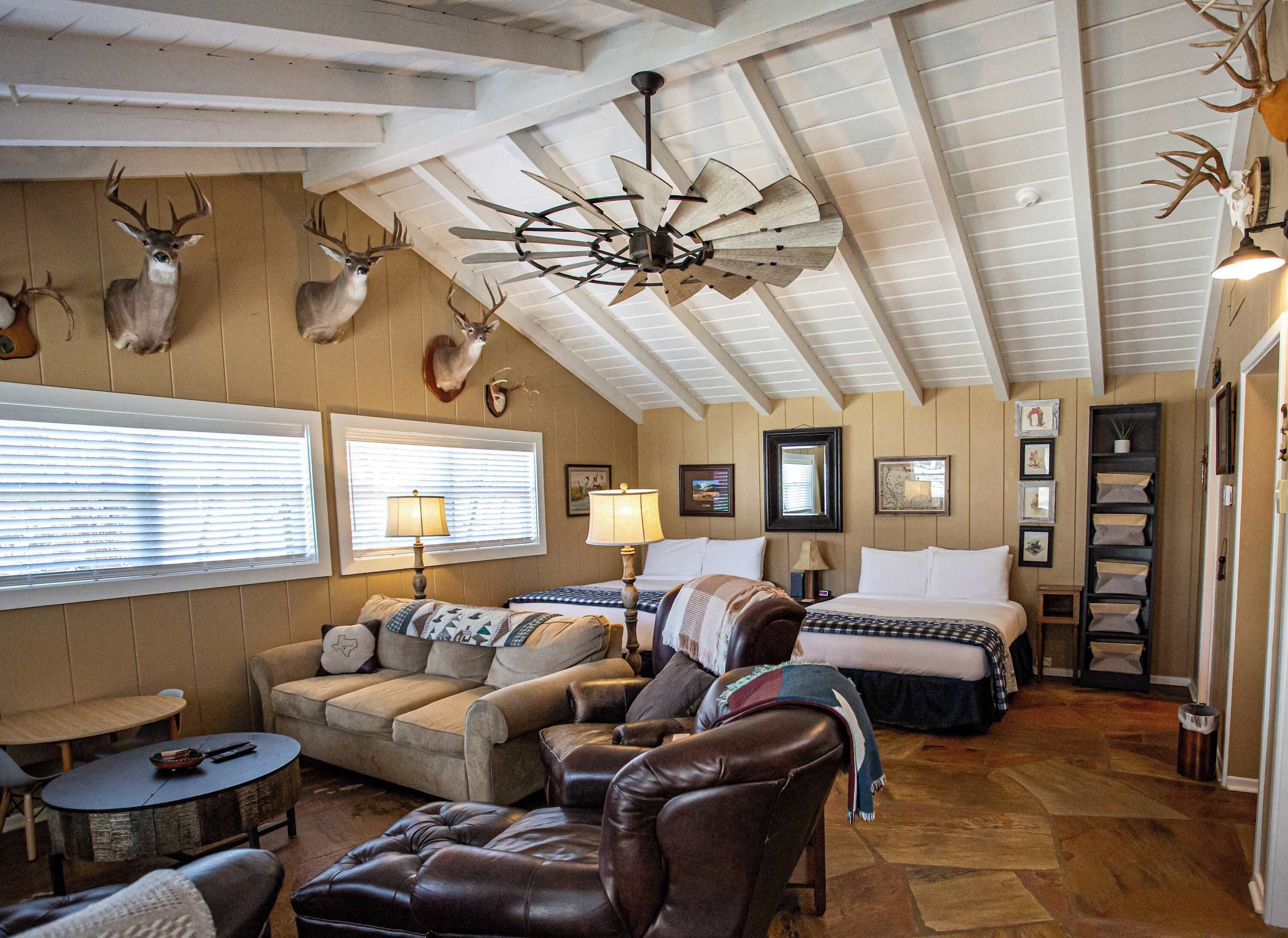 Télévision, cheminée, espaces bureaux