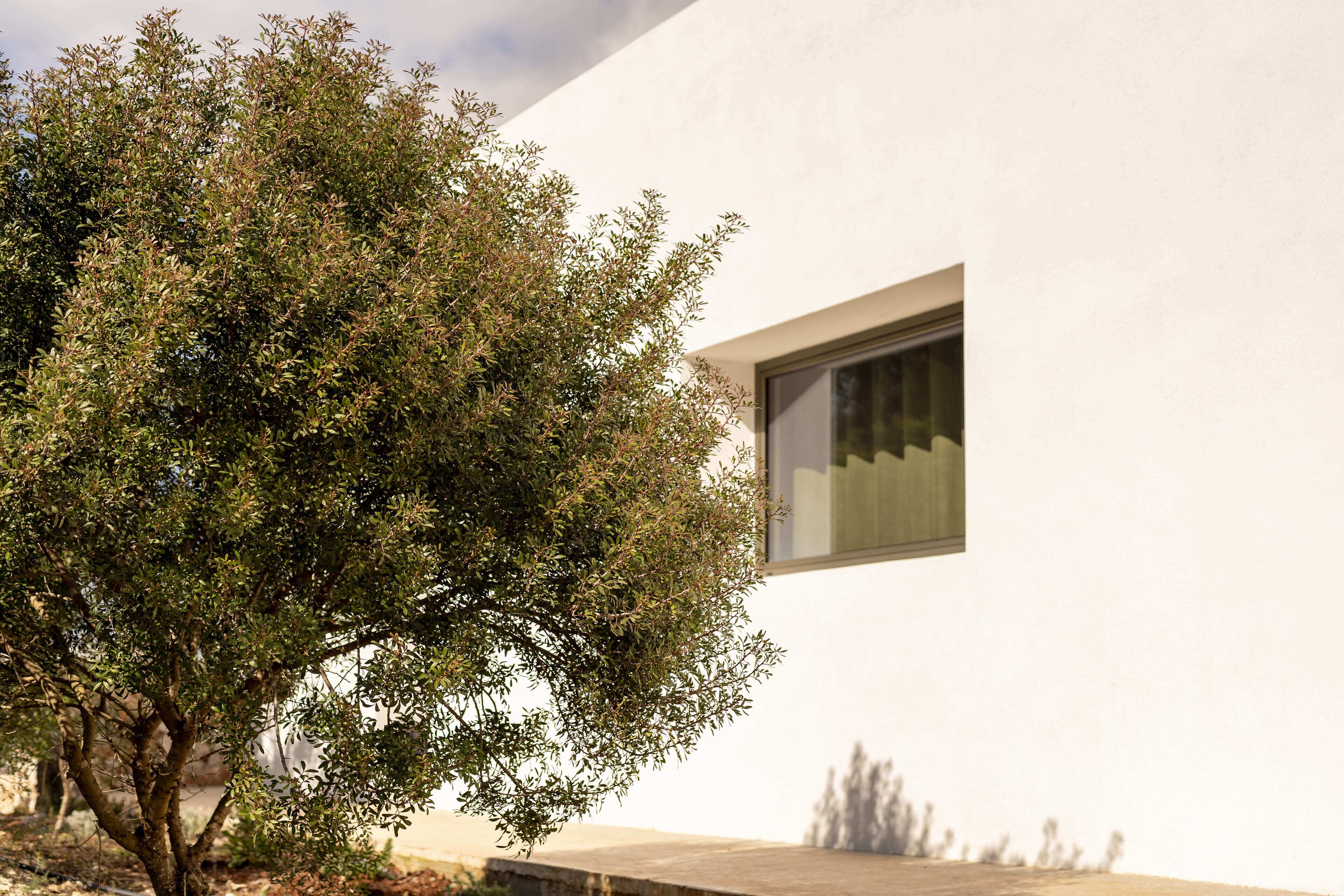 Un edificio moderno con un gran ventanal y un árbol frente a él.