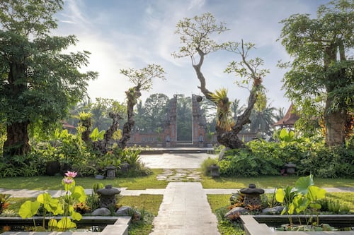 Puutarha