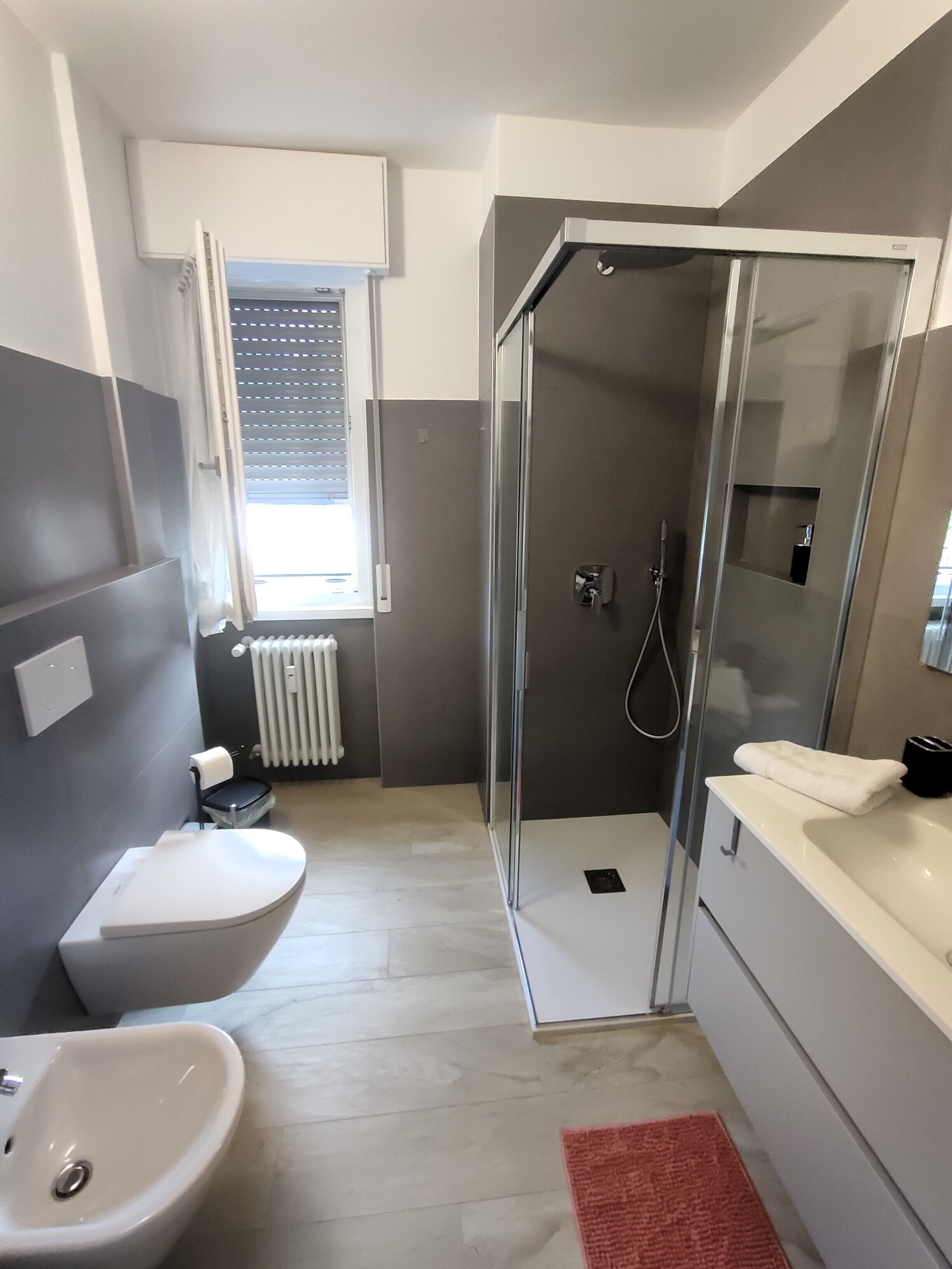 Shower, hair dryer, bidet, towels