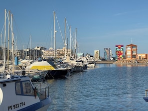 A marina with multiple boats docked, a clear sky, and buildings in the background.