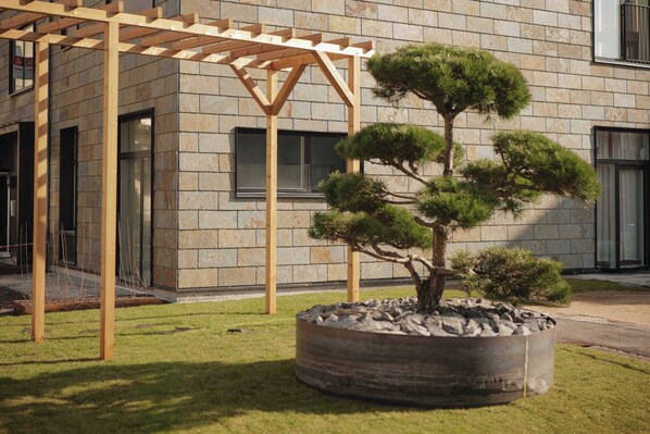 Terrein van de accommodatie