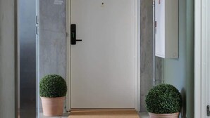 Un corridoio con una porta bianca, piante in vaso, un tappetino d'ingresso e una scatola di derivazione a parete.