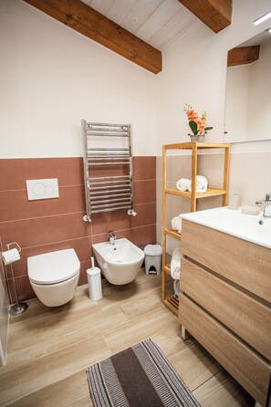 Shower, hair dryer, bidet, towels