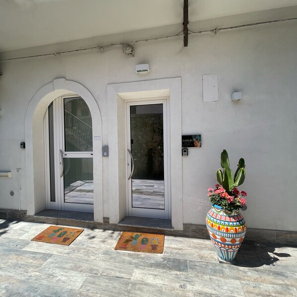 A building entrance with two doors, a large potted plant, and a doormat.