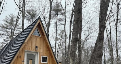 Sister A-Frame in Woods B