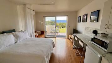 1 bedroom, iron/ironing board, bed sheets