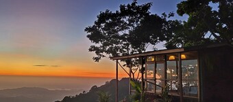 Minca Sintropia Organic Coffee Finca