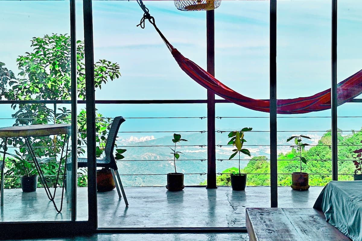 A room with large windows, a hammock, and potted plants.