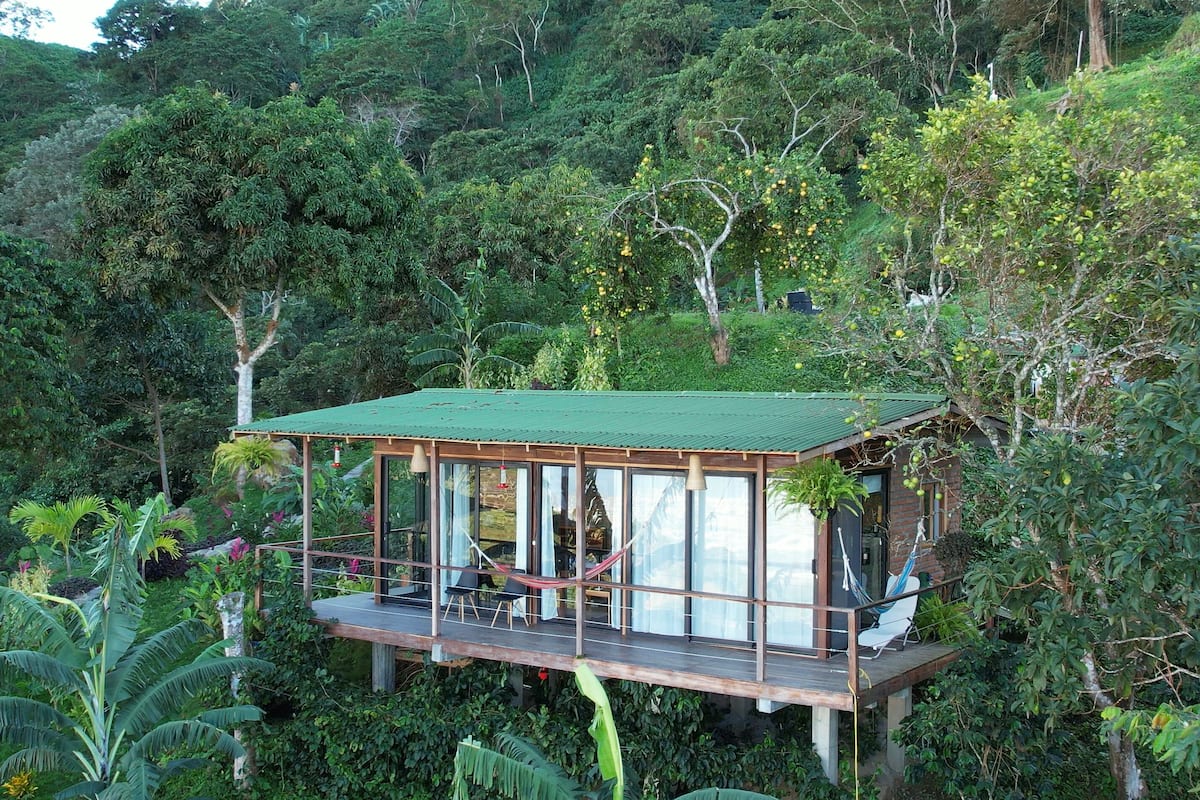 A wooden cabin with a green roof, surrounded by dense forest. It features a deck with seating and a hammock.