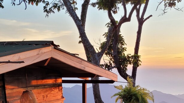 Una estructura de madera con puerta de cristal, rodeada de abundante vegetación y un telón de fondo montañoso.