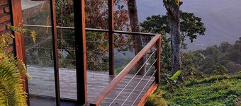 Minca Sintropia Organic Coffee Finca