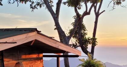 Minca Sintropia Organic Coffee Finca