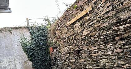 Loue Maison de Ville 2 chambres Doutre Saint Jacques Angers