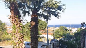 A residential area with a stone wall, potted plants, a palm tree, and a view of the sea. - Datça Zeytinevleri Apart (Datça)