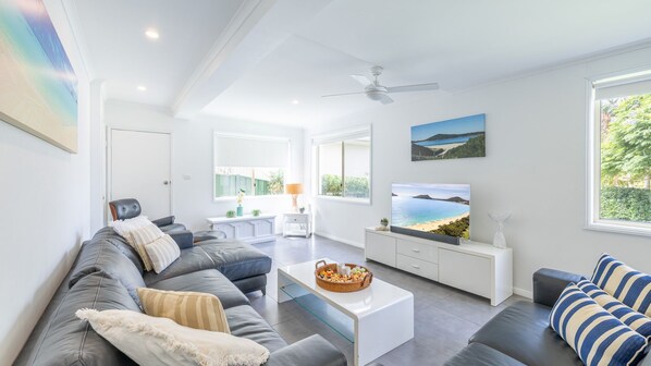 Smart TV, DVD player