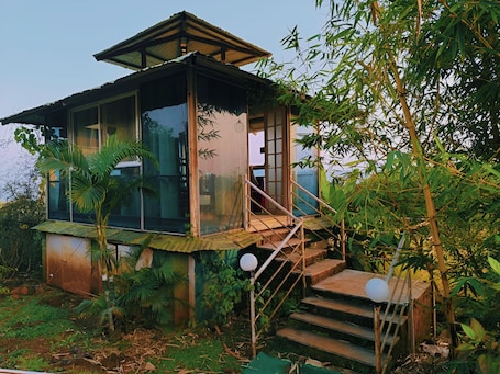Garden. Forrest Homestay Villa
