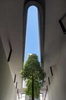 A modern interior with a high ceiling, a large arched window, and a central tree.