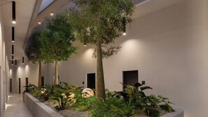 Un jardin intérieur moderne, avec un arbre central, entouré de différentes plantes et d’un bac à fleurs en béton.