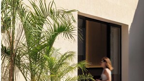 Un bâtiment moderne doté de grandes fenêtres et agrémenté de plantes en pot au premier plan.