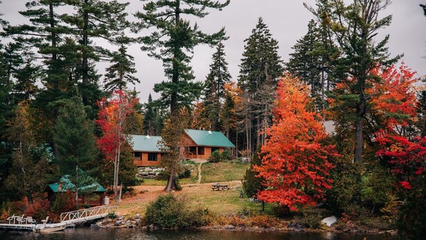 A cabin with a green roof, surrounded by autumn foliage and a lake. - ADA Cabin, Queen Bed, Double Bed, Private Bath (Greenville)