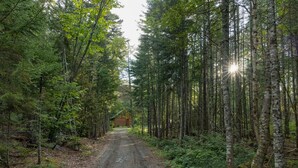 A forested area with a dirt path leading to a cabin. - ADA Cabin, Queen Bed, Double Bed, Private Bath (Greenville)