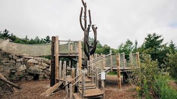 Children’s area