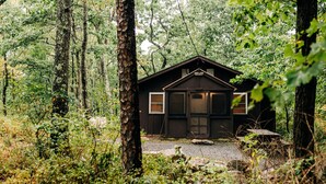 Una cabaña en un bosque con un camino de grava que lleva hacia ella.