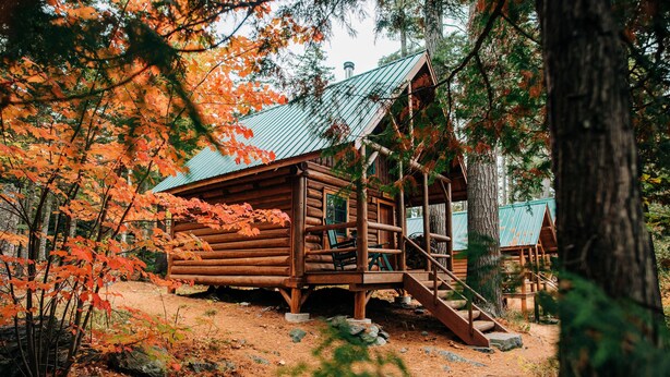 A rustic log cabin with a metal roof, surrounded by autumn foliage.